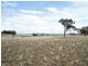 55 Tanmangaroo Road, Yass NSW 2582