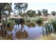 380 Wargeila Road, Yass NSW 2582