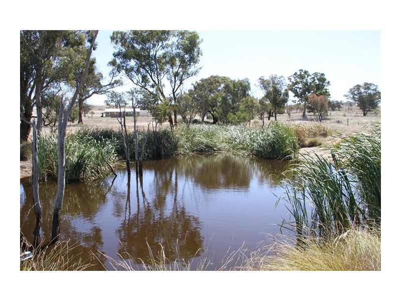 380 Wargeila Road, Yass NSW 2582