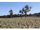 Lot 2 Black Range Road, Yass NSW 2582
