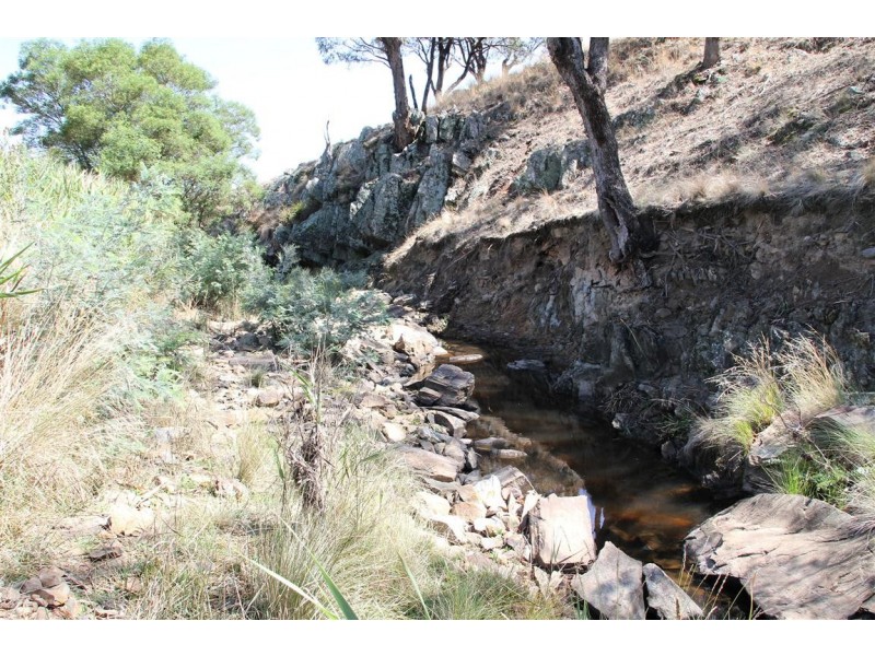 555 Boutchers Drive, Murrumbateman NSW 2582