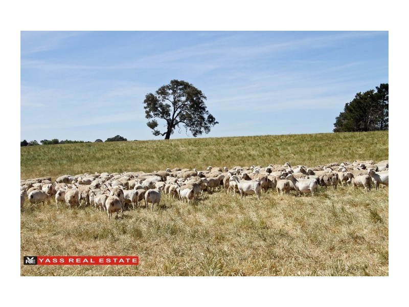 522A Yass River Road, Yass River NSW 2582