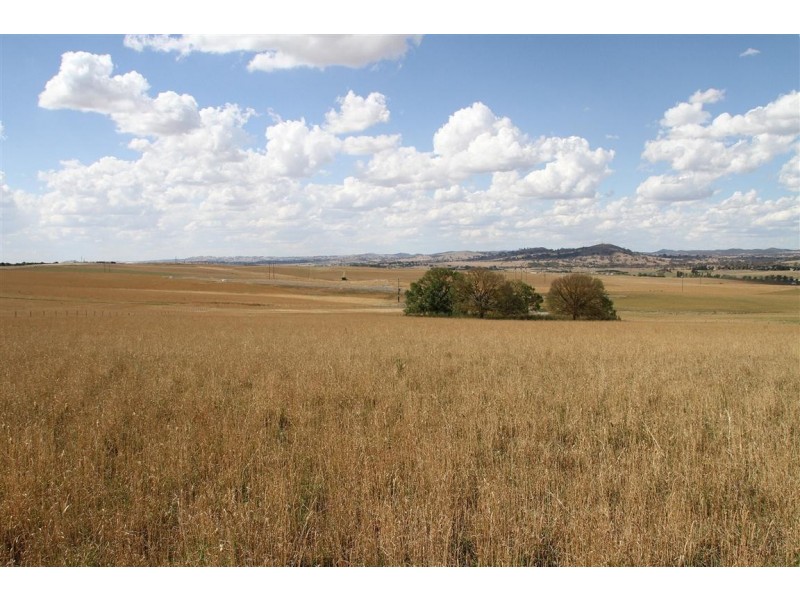 11 Buckley Road, Yass NSW 2582