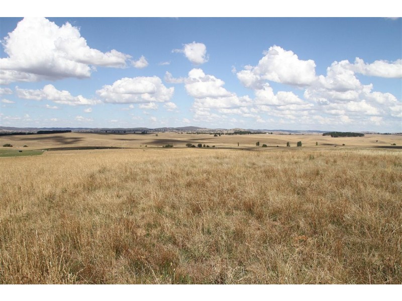 11 Buckley Road, Yass NSW 2582