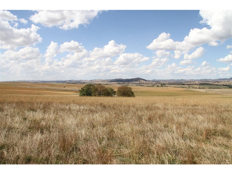 11 Buckley Road, Yass NSW 2582