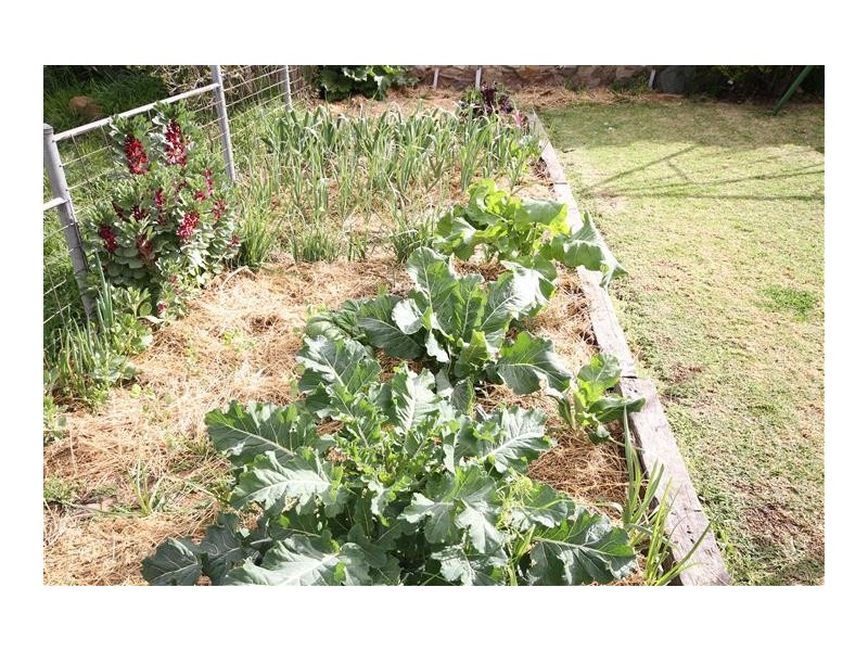 79 Shaw Street, Yass NSW 2582