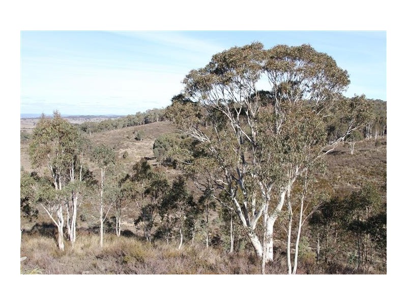 572 Berrebangelo Road, Yass River NSW 2582