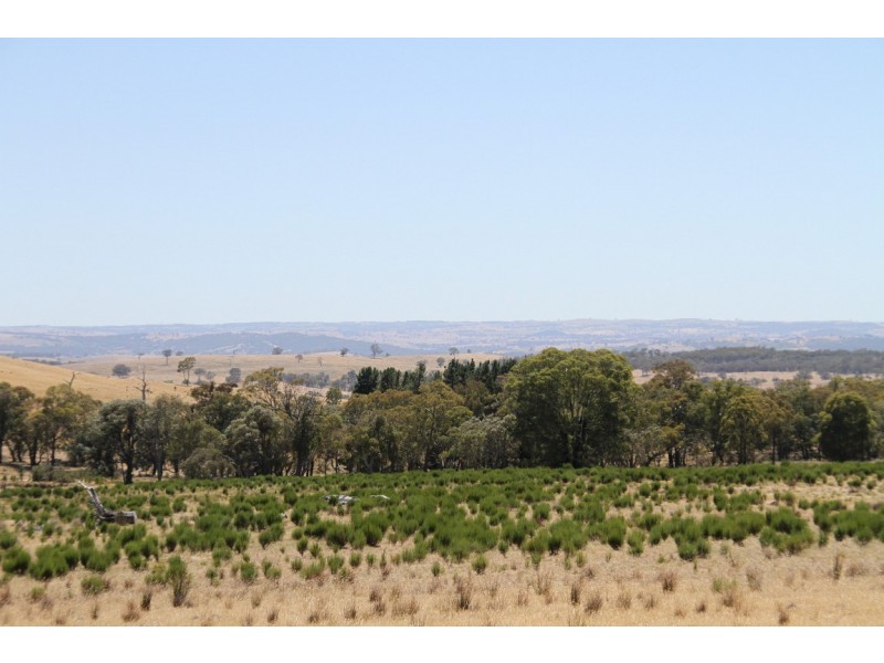 Lots 176 & 177 Broadway Road, Jerrawa NSW 2582