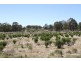 Lots 176 & 177 Broadway Road, Jerrawa NSW 2582