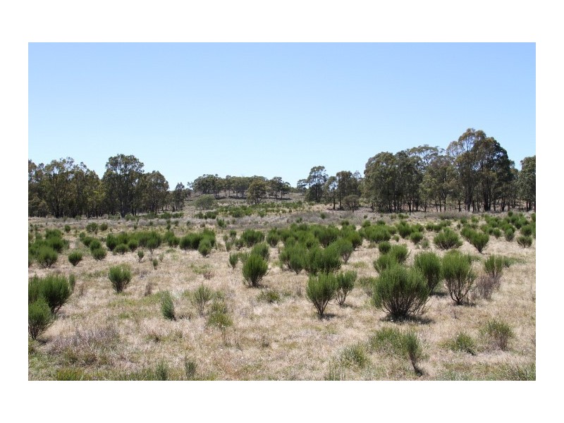 Lots 176 & 177 Broadway Road, Jerrawa NSW 2582