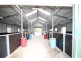 127 Corregans Road, Yass River NSW 2582