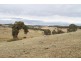 127 Corregans Road, Yass River NSW 2582