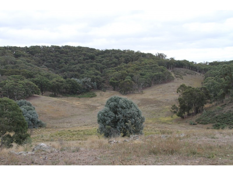 127 Corregans Road, Yass River NSW 2582