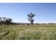 224 Boambolo Road, Yass NSW 2582