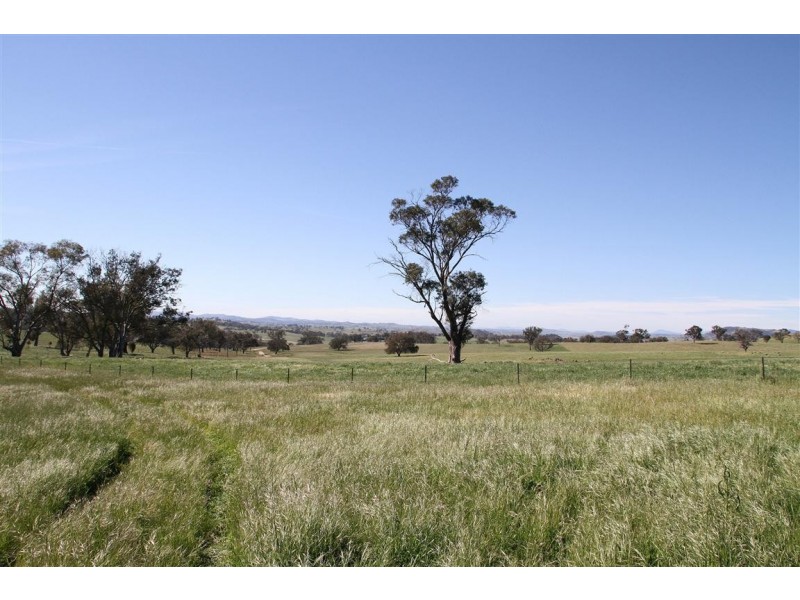 224 Boambolo Road, Yass NSW 2582
