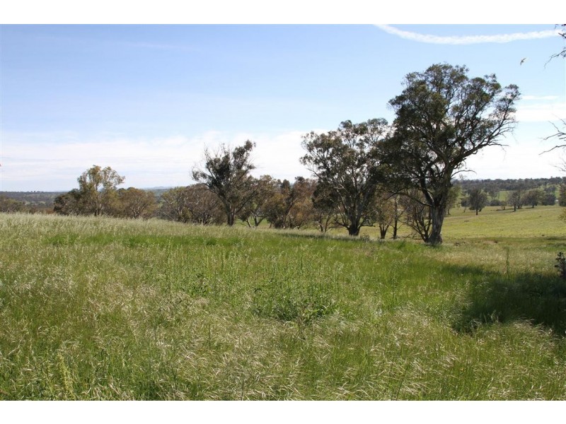 224 Boambolo Road, Yass NSW 2582