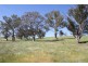 224 Boambolo Road, Yass NSW 2582