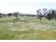 224 Boambolo Road, Yass NSW 2582