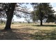290 Little Plains Road, Boorowa NSW 2586