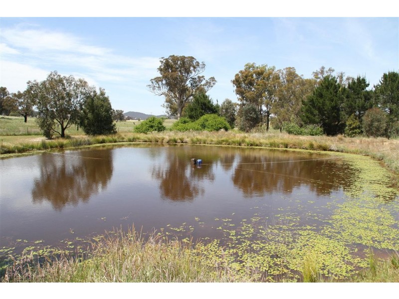 290 Little Plains Road, Boorowa NSW 2586