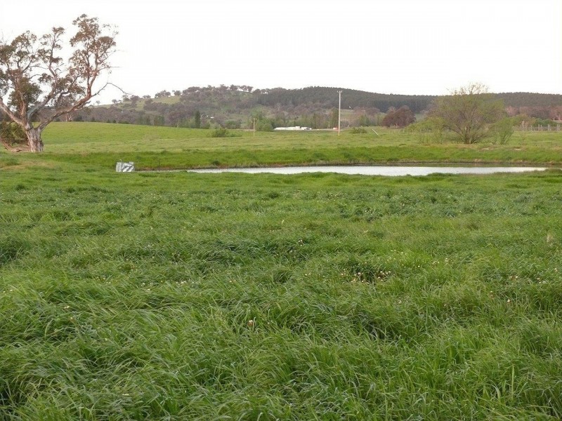 2441 Barton Highway, Murrumbateman NSW 2582