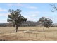2441 Barton Highway, Murrumbateman NSW 2582