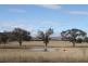 2441 Barton Highway, Murrumbateman NSW 2582
