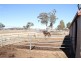 2441 Barton Highway, Murrumbateman NSW 2582