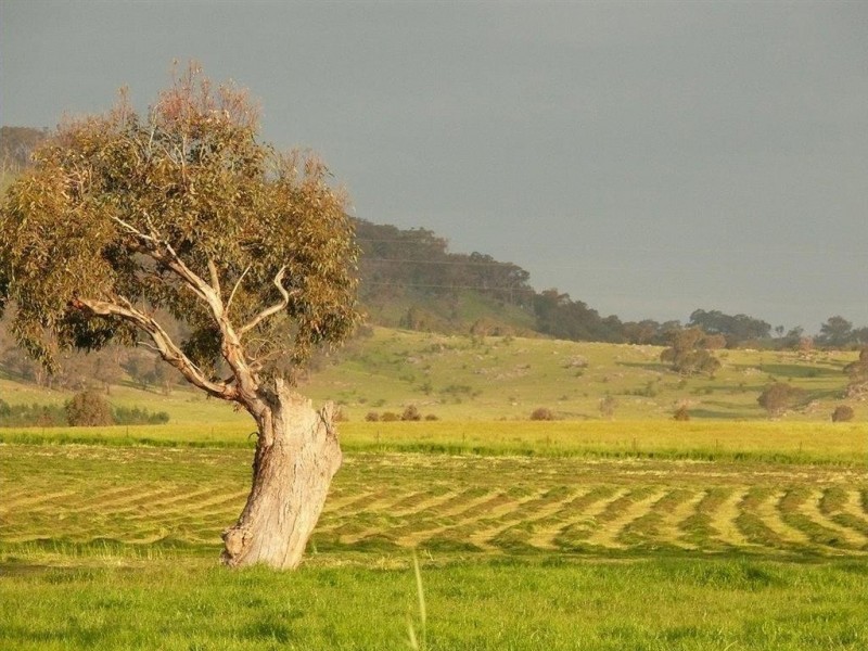2441 Barton Highway, Murrumbateman NSW 2582