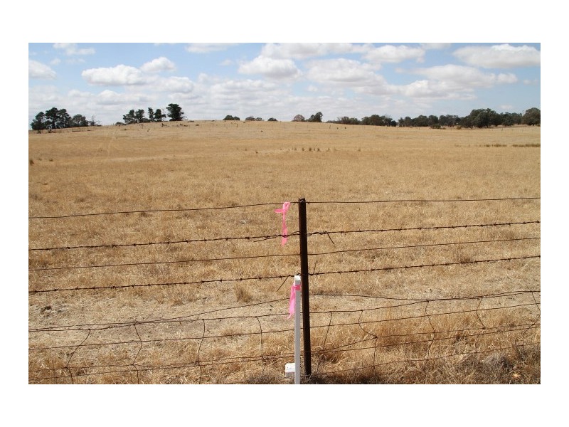 196 Yass Valley Way, Yass NSW 2582