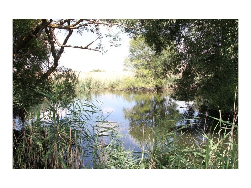 196 Yass Valley Way, Yass NSW 2582