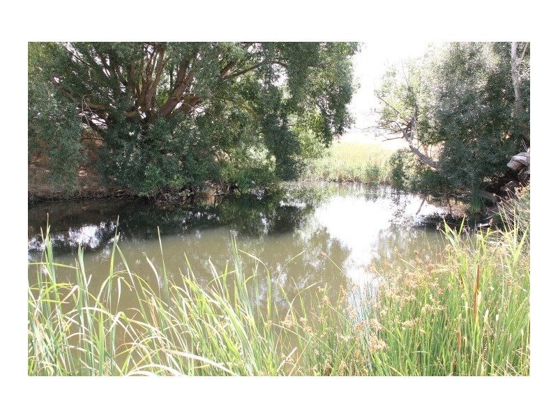 196 Yass Valley Way, Yass NSW 2582