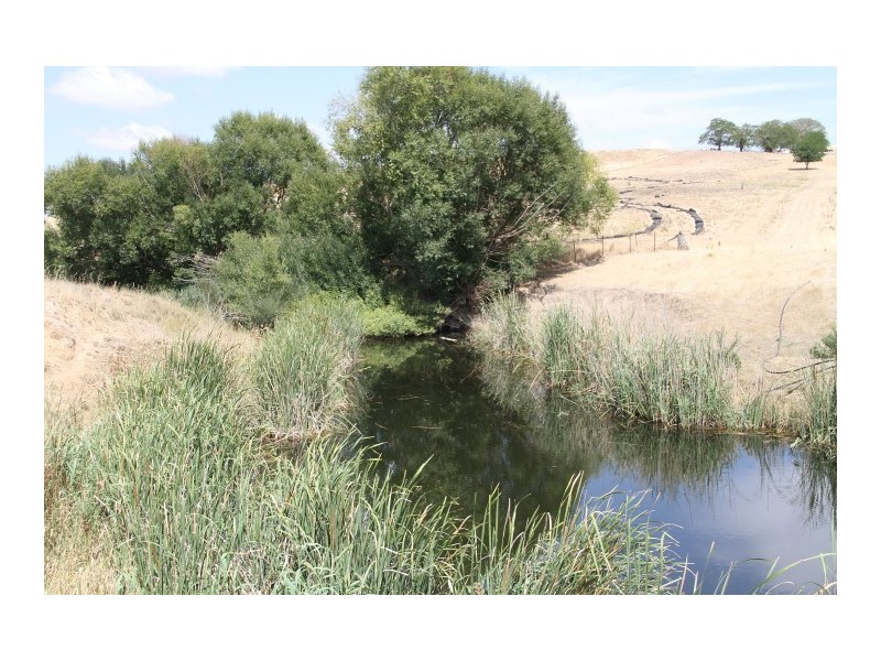 196 Yass Valley Way, Yass NSW 2582
