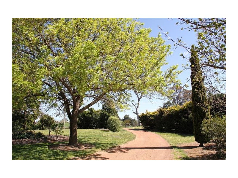 62 Mcintosh Circuit, Murrumbateman NSW 2582