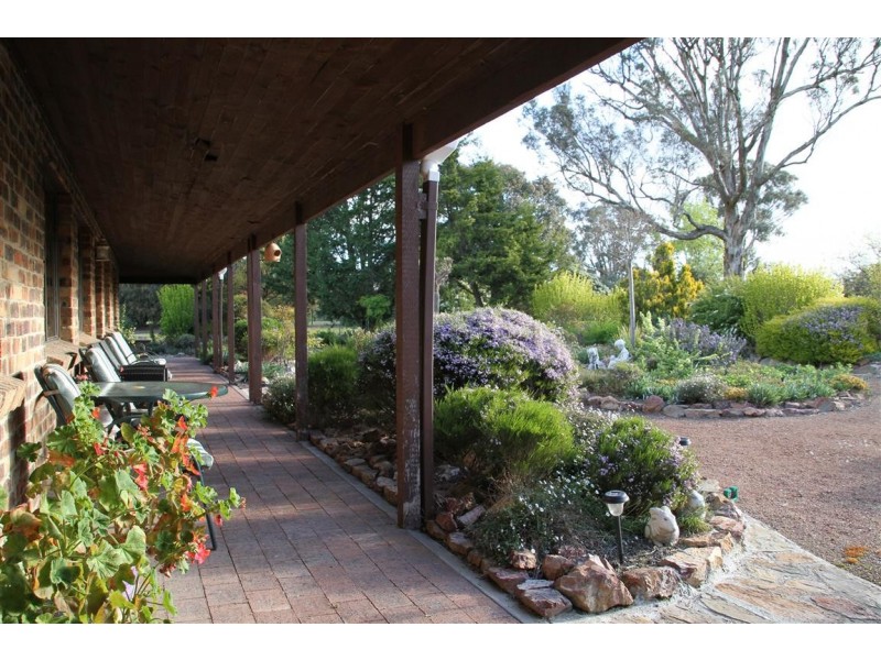 62 Mcintosh Circuit, Murrumbateman NSW 2582