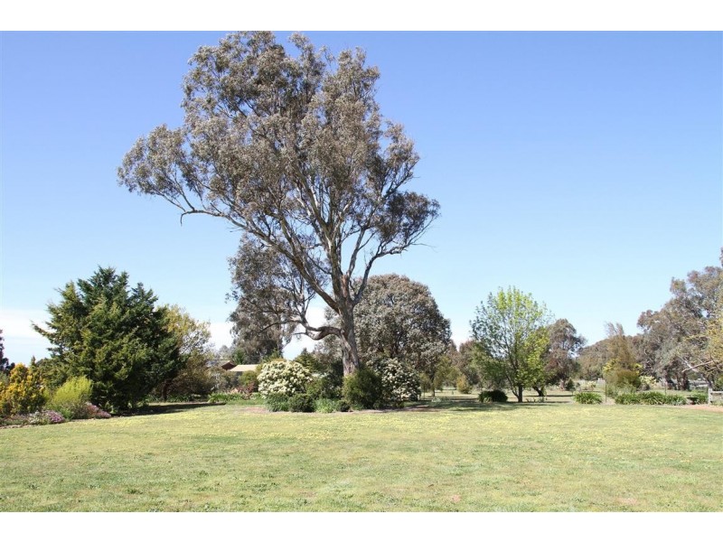 62 Mcintosh Circuit, Murrumbateman NSW 2582