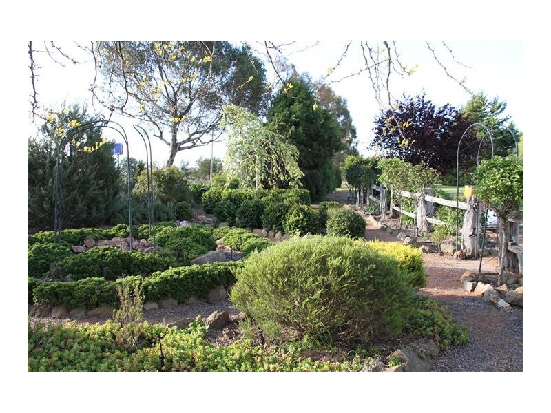 62 Mcintosh Circuit, Murrumbateman NSW 2582