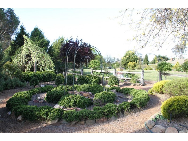 62 Mcintosh Circuit, Murrumbateman NSW 2582