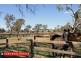 14 Yass River Road, Yass River NSW 2582