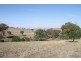 Lot 361 Boorowa Road, Dalton NSW 2581