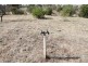 Lot 361 Boorowa Road, Dalton NSW 2581