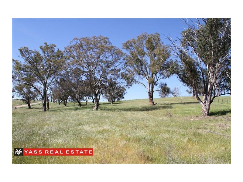 224 Boambolo Road, Boambolo NSW 2582