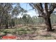 Lot 358 Armours Road, Binalong NSW 2584