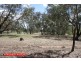 Lot 358 Armours Road, Binalong NSW 2584