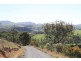 110 Holmwood Road, Wallaroo NSW 2618
