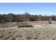 125 Rogerson Lane, Binalong NSW 2584