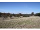 125 Rogerson Lane, Binalong NSW 2584