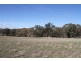 125 Rogerson Lane, Binalong NSW 2584