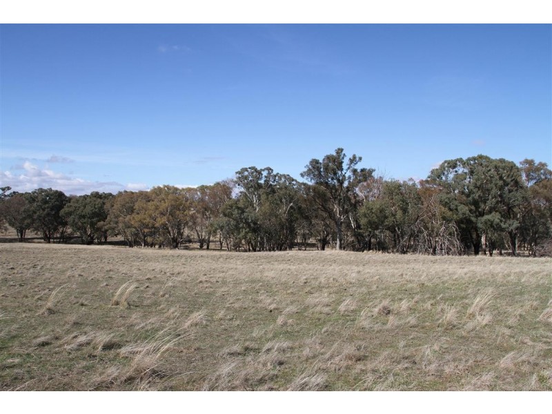 125 Rogerson Lane, Binalong NSW 2584