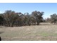 125 Rogerson Lane, Binalong NSW 2584